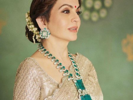 Nita Ambani Look Sale