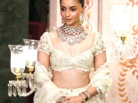 Alia s Ambani Wedding Look Hot on Sale