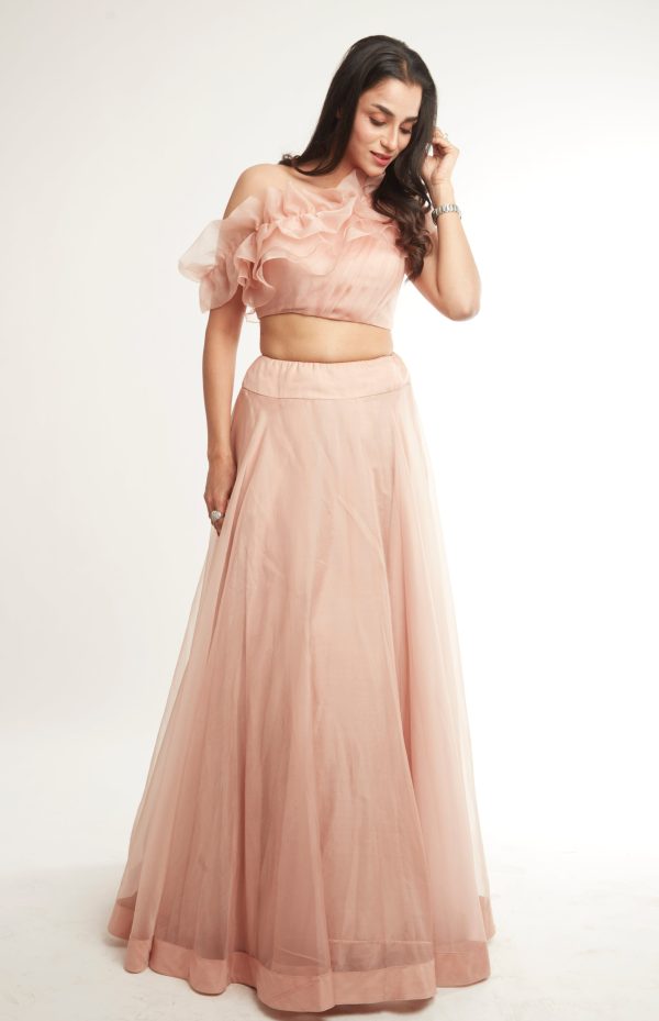 Rosebud Flared Skirt Online Sale