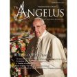 Angelus March April 2023 10 Years Of Pope Francis Sale