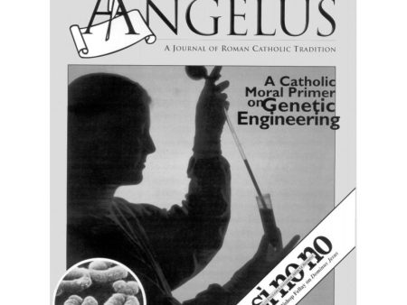 Angelus Mar 2001 For Sale