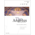 Angelus May-June 2016  Mercy  Online