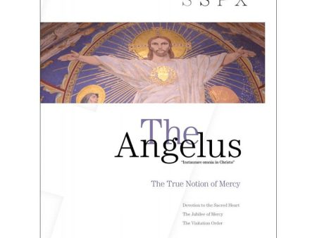 Angelus May-June 2016  Mercy  Online