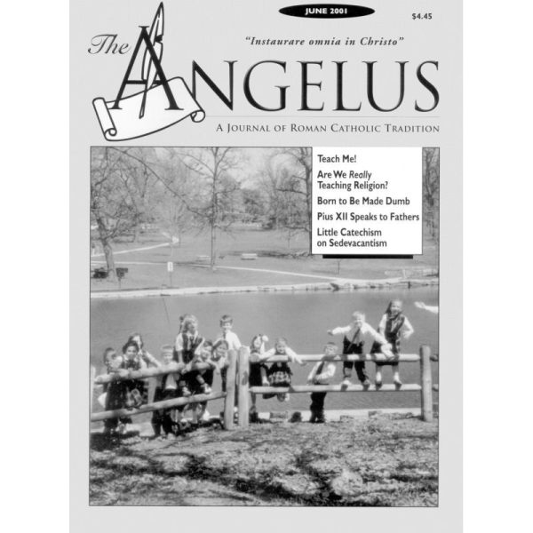 Angelus Jun 2001 Online Sale