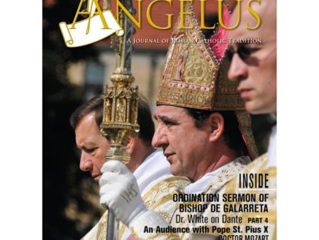 Angelus August 2010 Hot on Sale