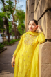 Ashu Sethi (Indyshades) in Tuscan Sun Suit Set Fashion