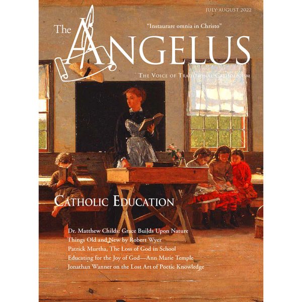 Angelus July August 2022 On Education Cheap