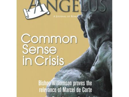 Angelus April 2008 Online Sale