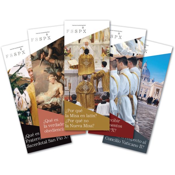 What is the Position of the SSPX on Vatican II? (Spanish) on Sale