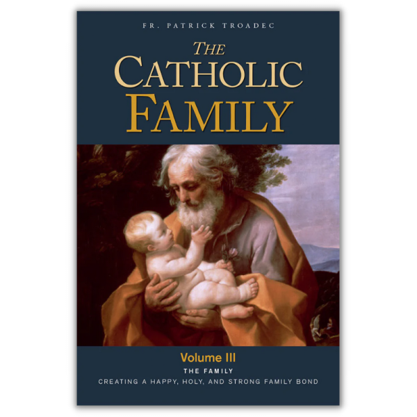 The Catholic Family Vol 3 Cheap