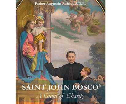 St. John Bosco: A Giant of Charity Cheap