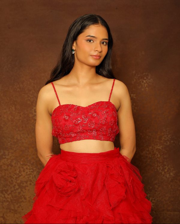 Ruby Red Tulle Layered Skirt Set Hot on Sale