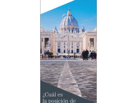 What is the Position of the SSPX on Vatican II? (Spanish) on Sale