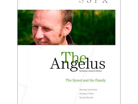 Angelus March - April 2016  Synod and the Family  Online Sale