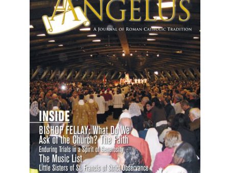 Angelus November 2008 Online