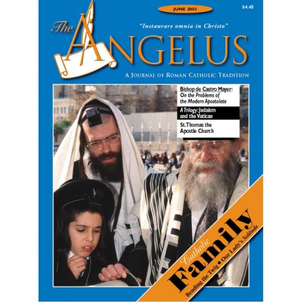 Angelus Jun 2003 For Discount