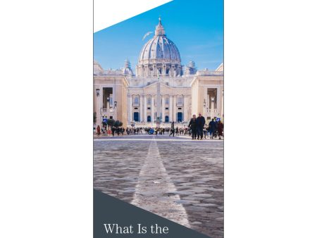 What is the Position of the SSPX on Vatican II? Cheap