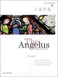 Angelus Jul-Aug 2014 magazine Online Sale