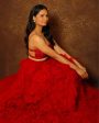 Ruby Red Tulle Layered Skirt Set Hot on Sale