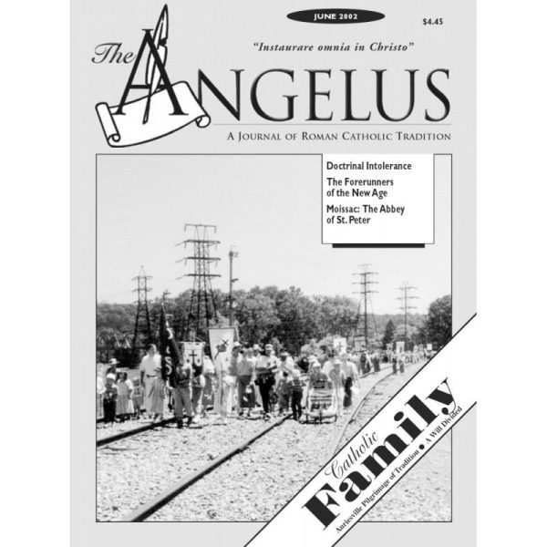 Angelus Jun 2002 For Discount