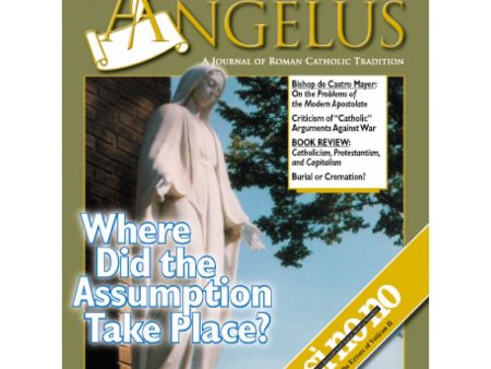 Angelus Jul 2003 For Cheap