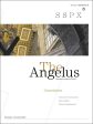 Angelus - November-December 2013 Canonization Online