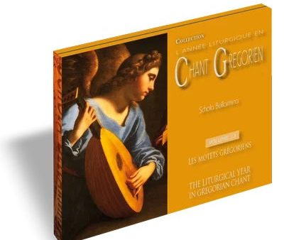 Chant Cd: Vol 13 The Gregorian Motets Cheap