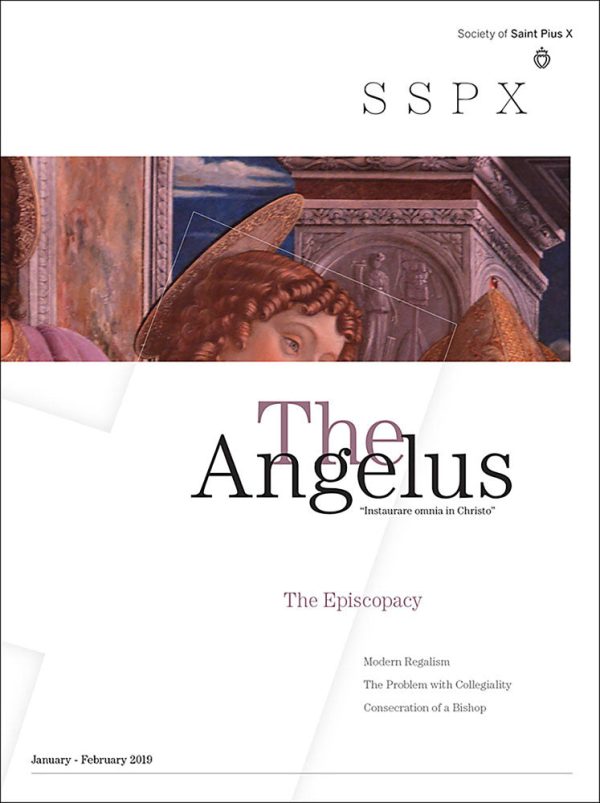 Angelus January February 2019 The Episcopacy Online Sale