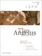 Angelus January - February 2018 - Angels Supply