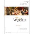 Angelus January February 2021 Iconoclasm Hot on Sale