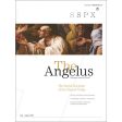 Angelus July - August 2016  Social Doctrine of the Church  Hot on Sale