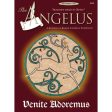 Angelus Dec 2007 For Discount