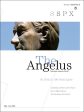 Angelus - May June 2014 Pope St. Pius X Sale