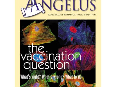 Angelus February 2006 The Vaccination Question Online now