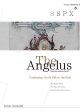 Angelus November-December 2012 on Sale