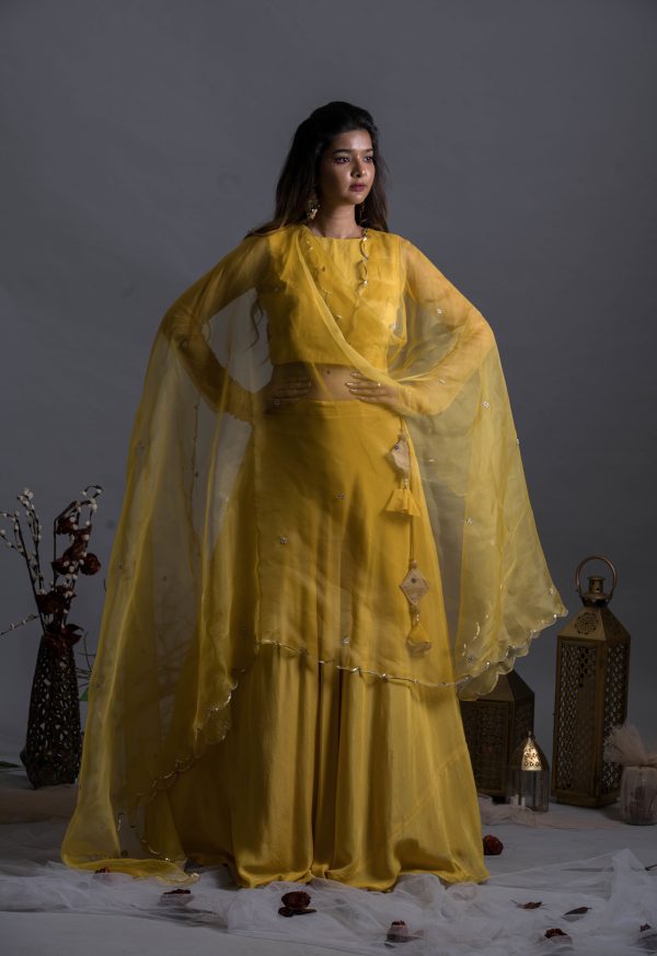 Tuscan Sun Flared Lehenga Supply