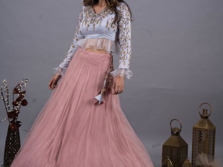 Cloud Blue Embellished Blouse & Rosebud Skirt Set Online Hot Sale